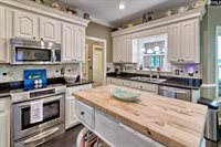 477 Lake Tide, Chapin, SC 29036