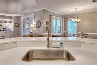 302 Lookout Hill, Chapin, SC 29036
