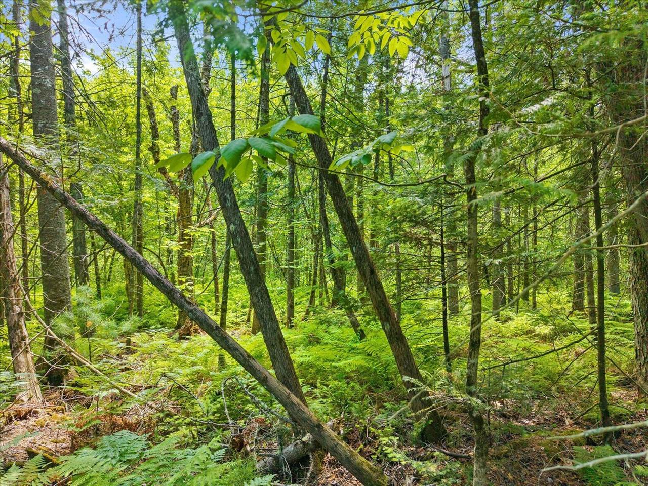 00 Stetson Road East, Levant, ME 04456