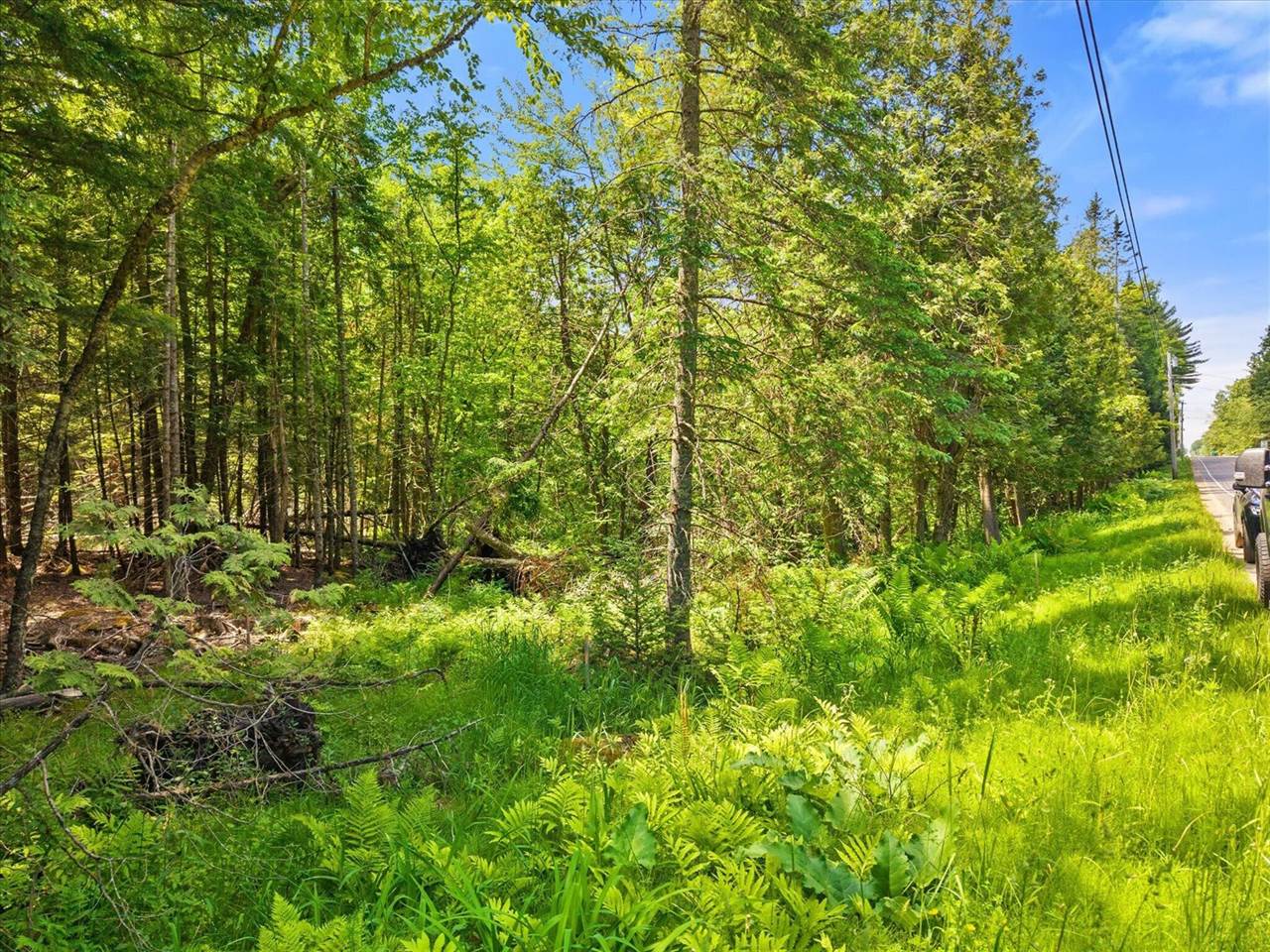 00 Stetson Road East, Levant, ME 04456