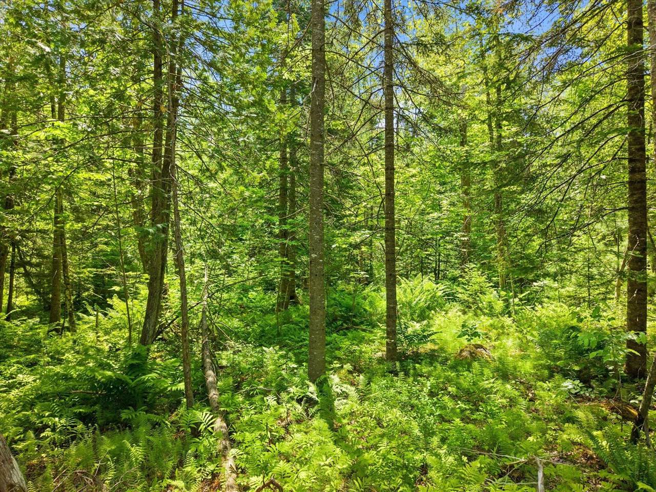 00 Stetson Road East, Levant, ME 04456