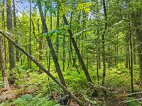 00 Stetson Road East, Levant, ME 04456