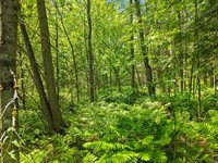 00 Stetson Road East, Levant, ME 04456