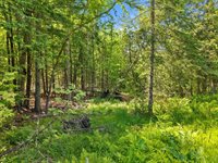 00 Stetson Road East, Levant, ME 04456