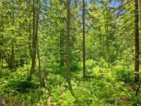 00 Stetson Road East, Levant, ME 04456