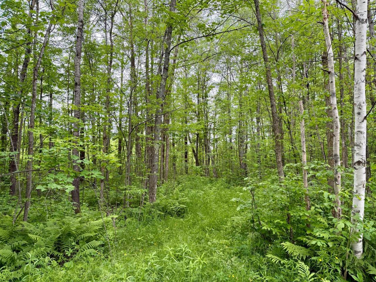 3799 County Road 132, Kettle River, MN 55757
