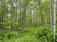 3799 County Road 132, Kettle River, MN 55757
