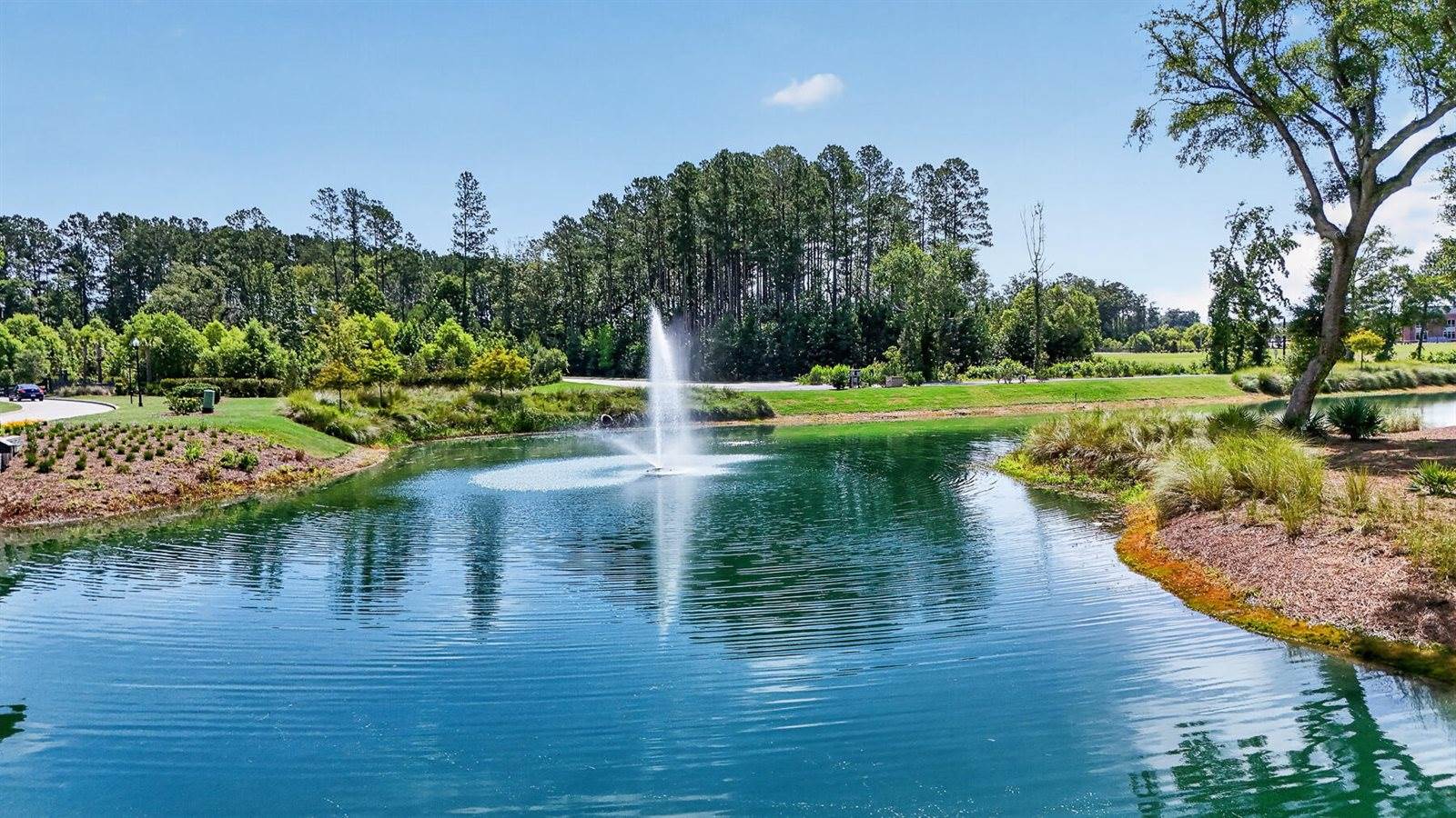 1359 Locals Street, Summerville, SC 29485