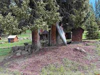21333 College Drive, Cedaredge, CO 81413