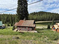 21333 College Drive, Cedaredge, CO 81413