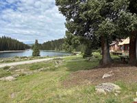 21333 College Drive, Cedaredge, CO 81413