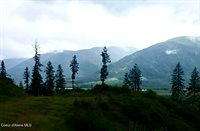NNA This Way Rd Lot 1 (10 Acres), Bonners Ferry, ID 83805