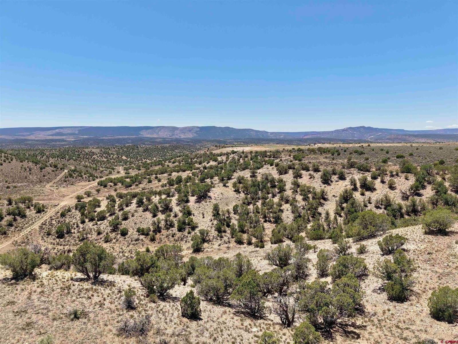 TBD Hwy 97, Nucla, CO 81424