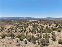 TBD Hwy 97, Nucla, CO 81424