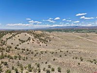 TBD Hwy 97, Nucla, CO 81424