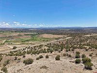 TBD Hwy 97, Nucla, CO 81424