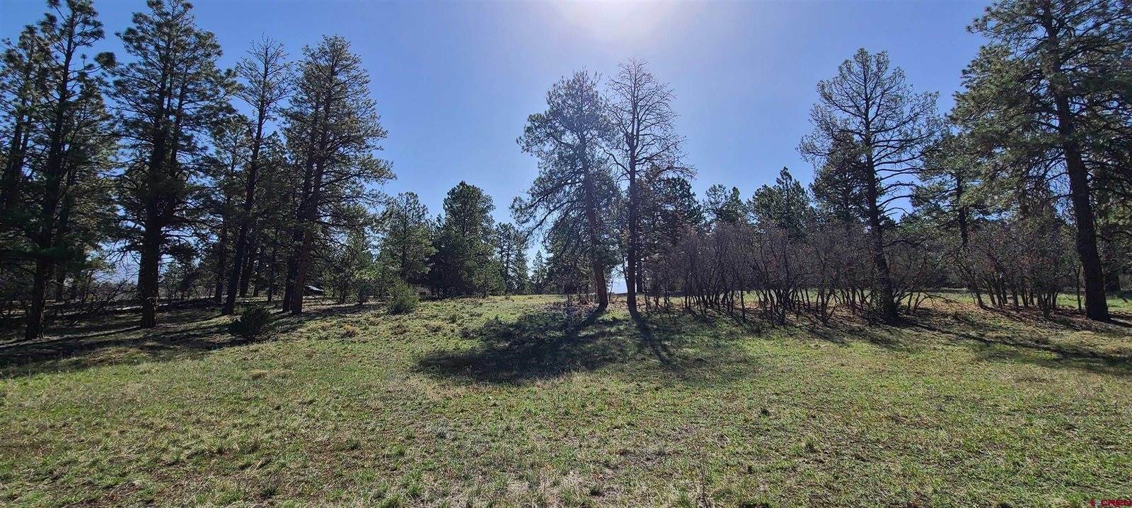 225 Badger Trail, Ridgway, CO 81432