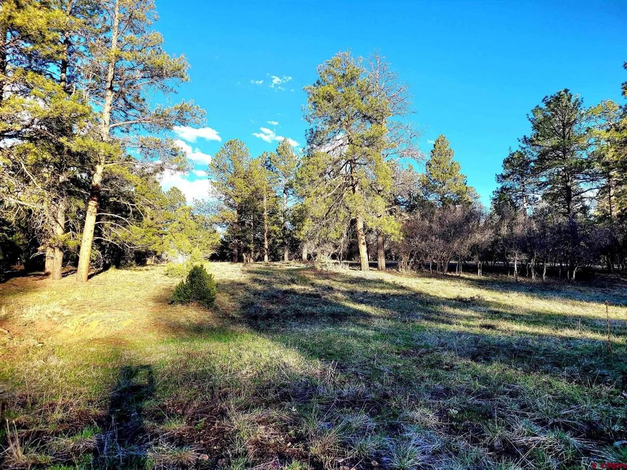 225 Badger Trail, Ridgway, CO 81432