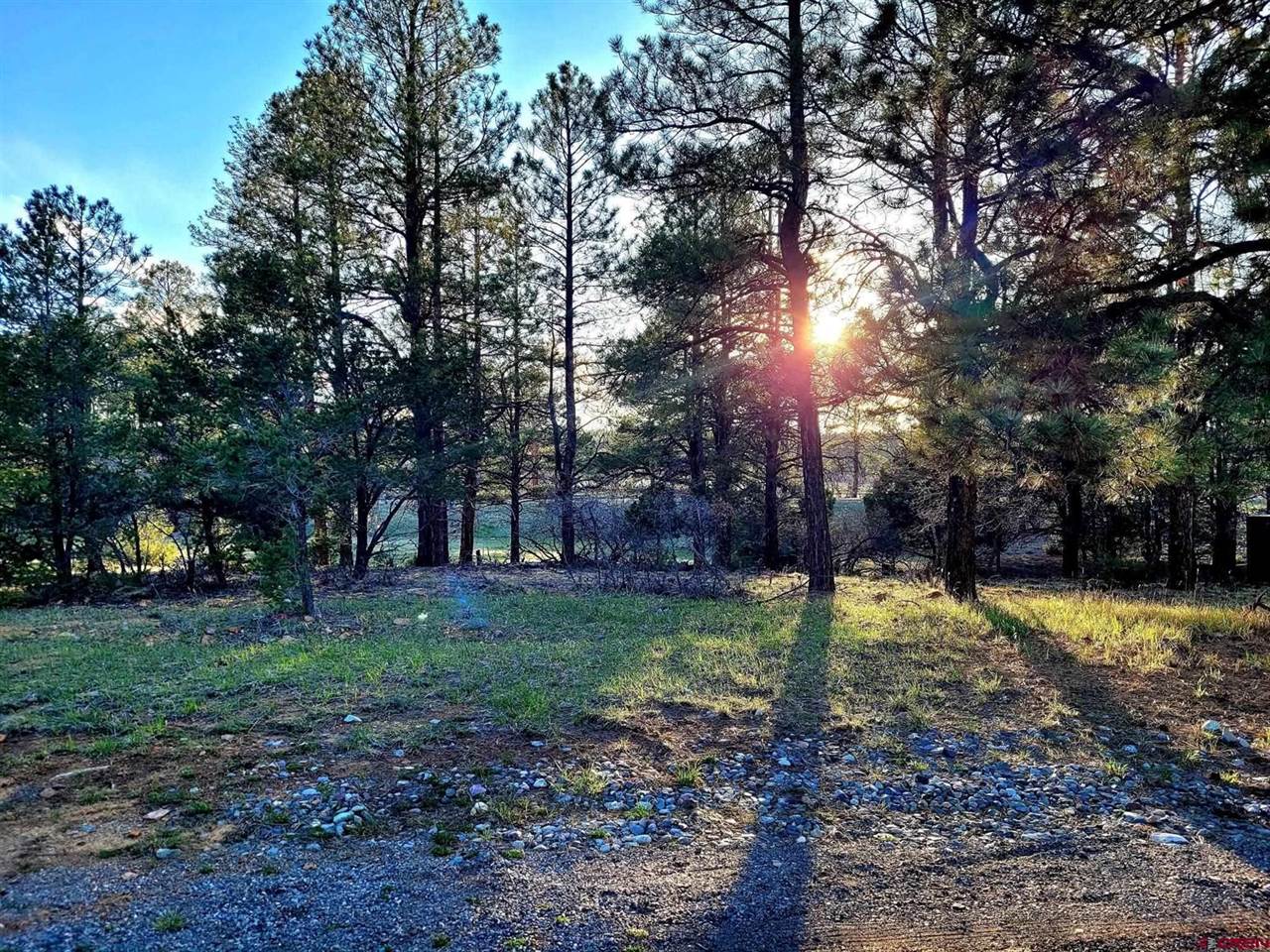 225 Badger Trail, Ridgway, CO 81432