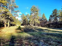 225 Badger Trail, Ridgway, CO 81432