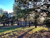 225 Badger Trail, Ridgway, CO 81432