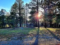225 Badger Trail, Ridgway, CO 81432