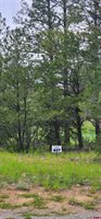 225 Badger Trail, Ridgway, CO 81432