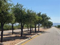 1698 Tenen Pass Drive, Benson, AZ 85602