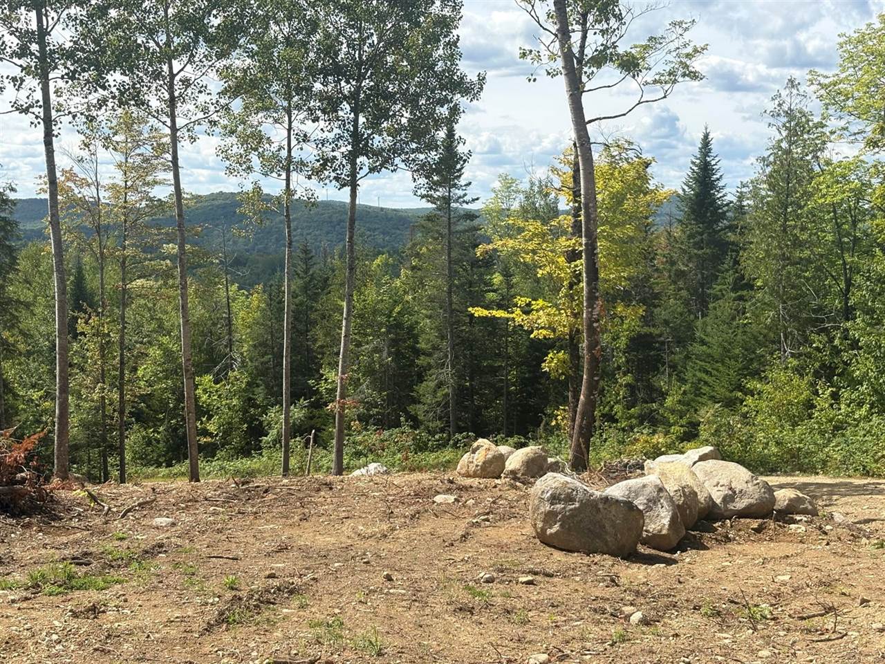 Lot 10 Mt. Jefferson Heights