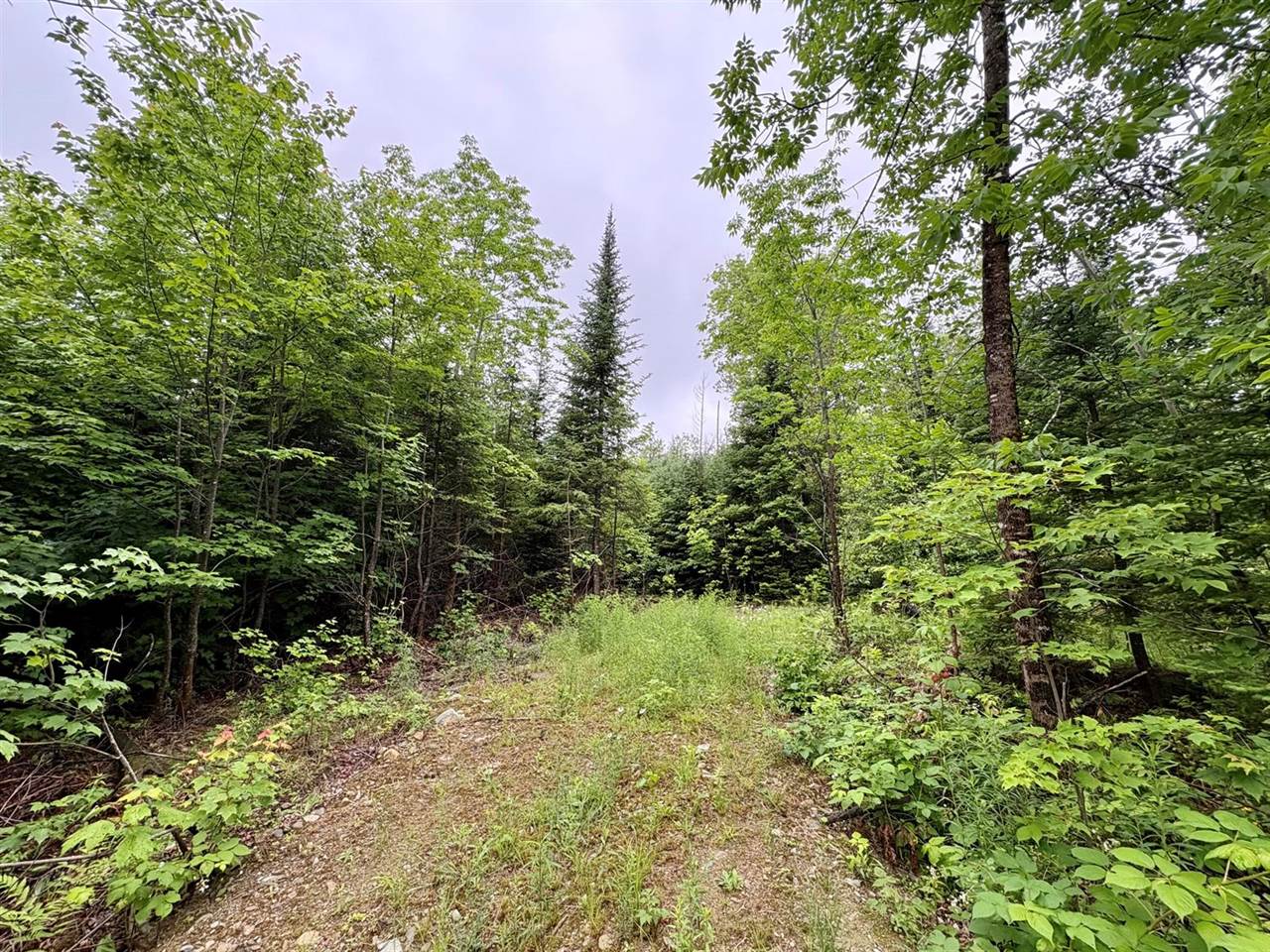 Lot 1 Mt. Jefferson Heights