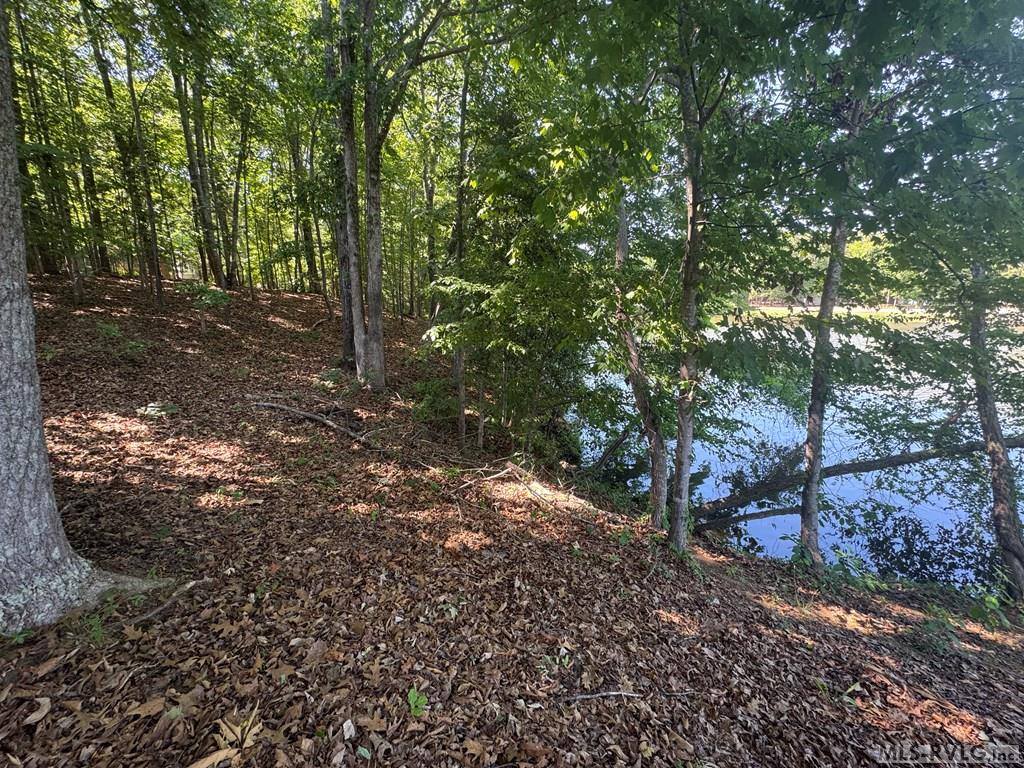 Lot 28-A Tanglewood Drive, Bracey, VA 23919