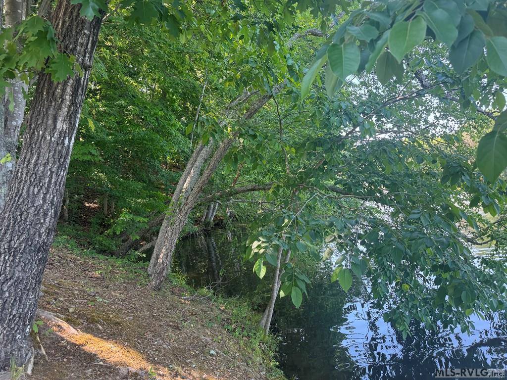 Lot 28-A Tanglewood Drive, Bracey, VA 23919
