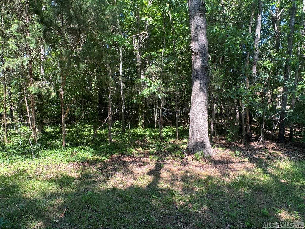 Lot 28-A Tanglewood Drive, Bracey, VA 23919
