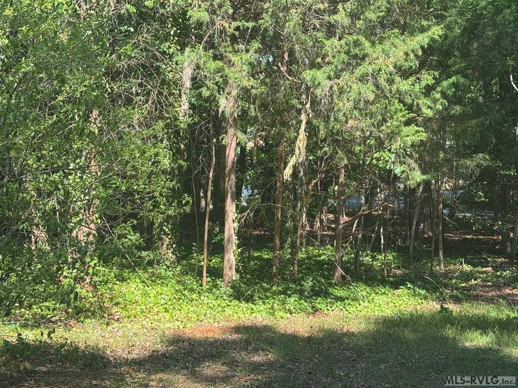 Lot 28-A Tanglewood Drive, Bracey, VA 23919