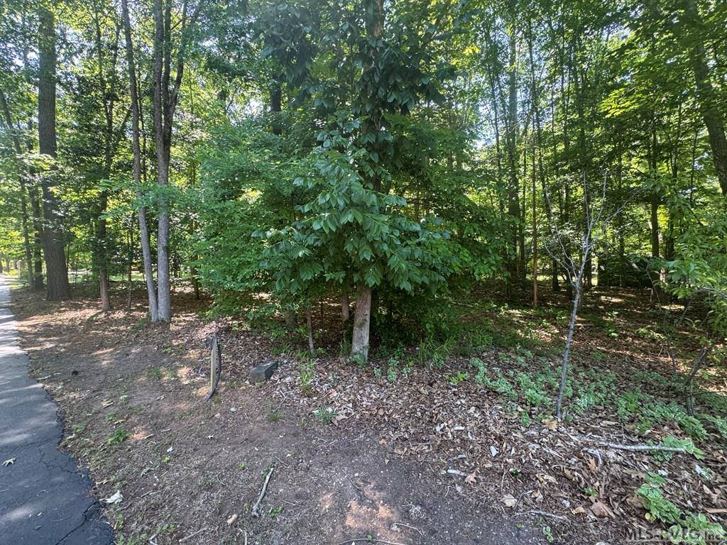 Lot 28-A Tanglewood Drive, Bracey, VA 23919