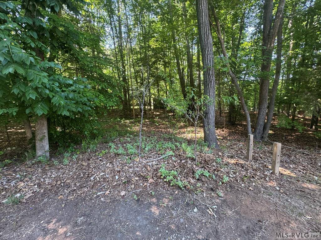 Lot 28-A Tanglewood Drive, Bracey, VA 23919