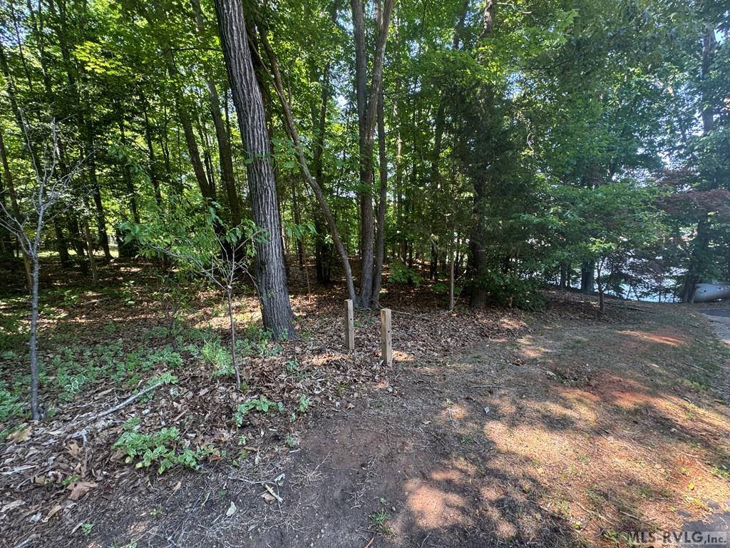 Lot 28-A Tanglewood Drive, Bracey, VA 23919