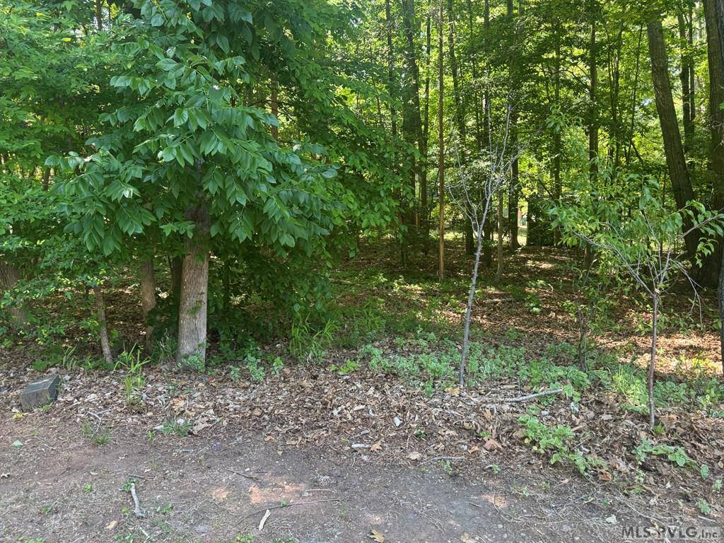Lot 28-A Tanglewood Drive, Bracey, VA 23919