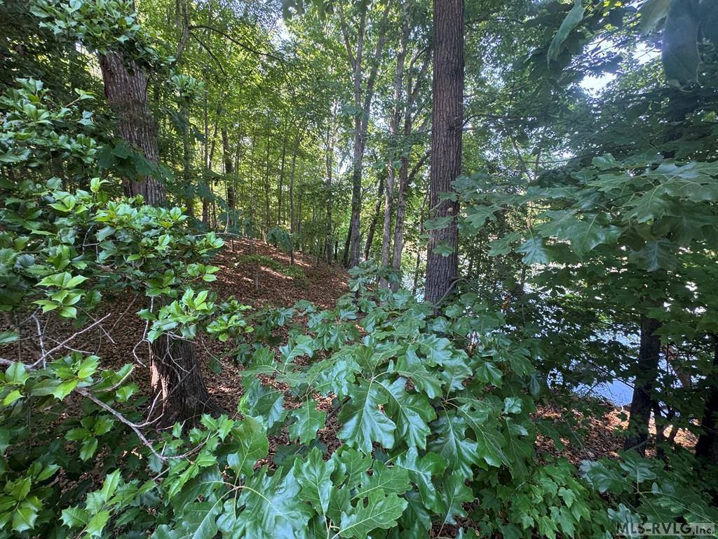 Lot 28-A Tanglewood Drive, Bracey, VA 23919