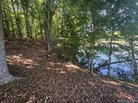 Lot 28-A Tanglewood Drive, Bracey, VA 23919