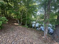 Lot 28-A Tanglewood Drive, Bracey, VA 23919
