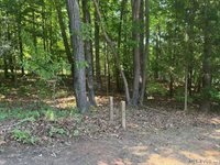 Lot 28-A Tanglewood Drive, Bracey, VA 23919