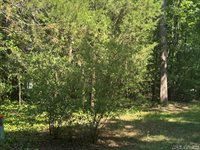 Lot 28-A Tanglewood Drive, Bracey, VA 23919