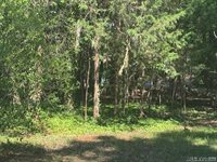 Lot 28-A Tanglewood Drive, Bracey, VA 23919