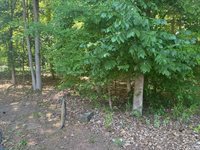 Lot 28-A Tanglewood Drive, Bracey, VA 23919