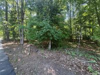 Lot 28-A Tanglewood Drive, Bracey, VA 23919