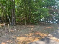 Lot 28-A Tanglewood Drive, Bracey, VA 23919