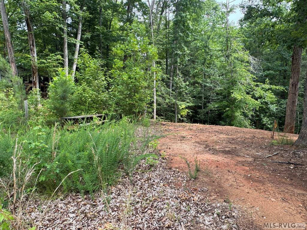 126 Des Moines, Bracey, VA 23919