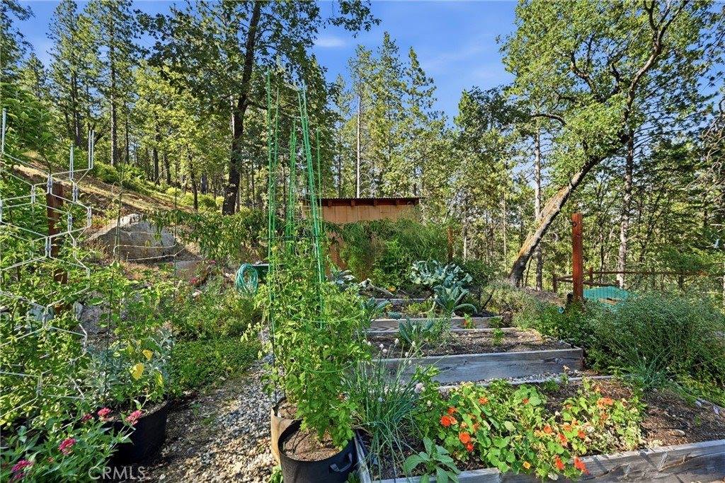 11240 Loch Lomond Road, Cobb, CA 95461
