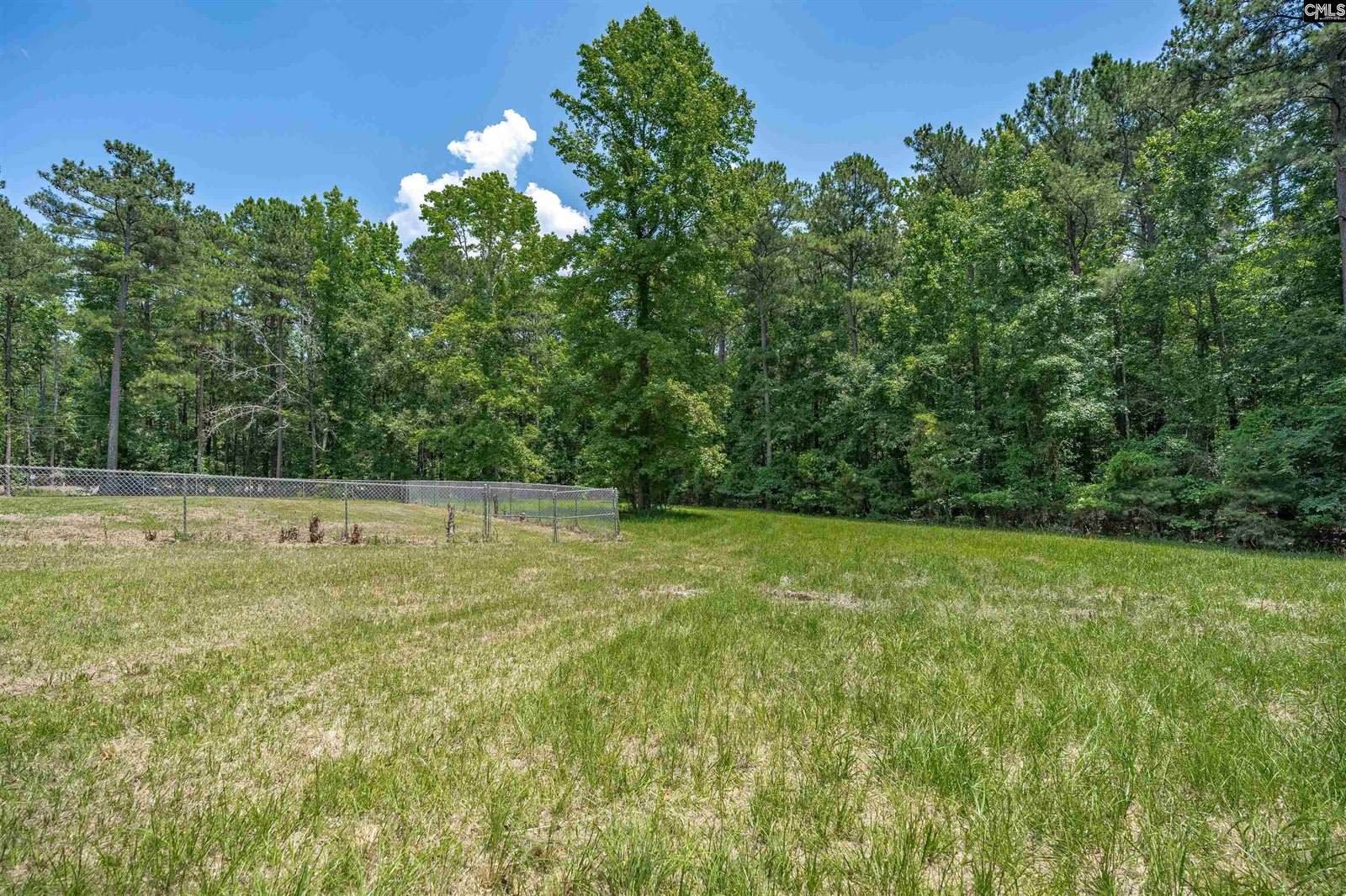 131 Mule, Gilbert, SC 29054